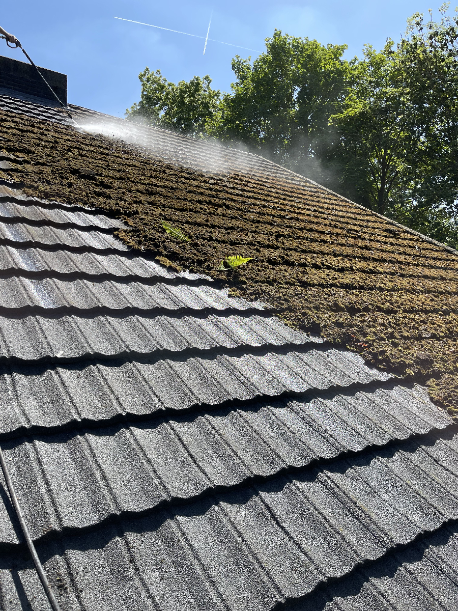 Démoussage toiture Bruxelles